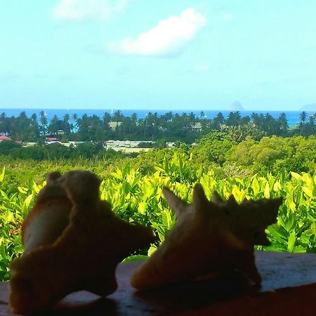Studios Carribean Sea View Sainte-Anne Buitenkant foto
